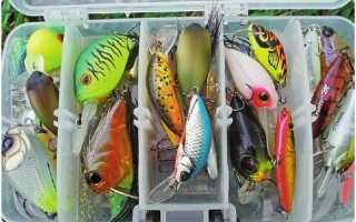 «Правильные» воблеры на окуня: 10 лучших крэнков, минноу, щэдов