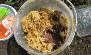 Как правильно оснащать поплавочную удочку для рыбалки на карася, линя и другую рыбу