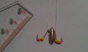 Микробалда для зимней рыбалки: как ловить и изготовление своими руками