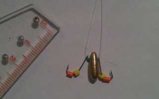 Микробалда для зимней рыбалки: как ловить и изготовление своими руками