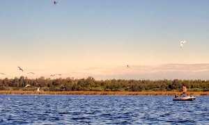 Рыбалка в Ленинградской области дикарем — широкие возможности для всех рыболовов