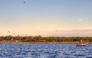 Рыбалка в Ленинградской области дикарем — широкие возможности для всех рыболовов