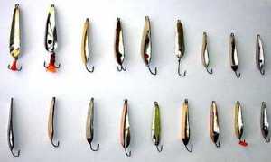 Ловля окуня на блесну зимой: когда и как использовать донные и вертикальные блесны