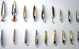 Ловля окуня на блесну зимой: когда и как использовать донные и вертикальные блесны