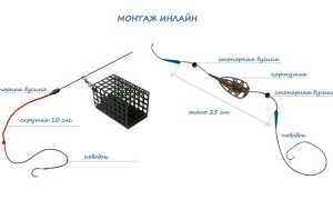 Фидерный монтаж инлайн, исполнение ранинг фидер в разных вариантах