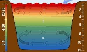 Когда следует использовать пелагический джиг и каким образом сделать его эффективным