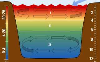 Когда следует использовать пелагический джиг и каким образом сделать его эффективным