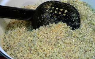 Лучшая прикормка для карпа — рецепты, аттрактанты по холодной и теплой воде