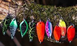 Ловля форели на блесны — выбор приманки под условия, лучшие модели