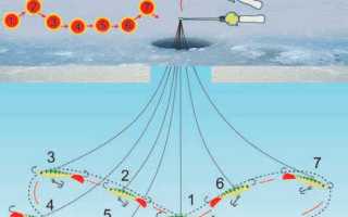 Ловля окуня зимой на балансир: выбираем уловистые, техника игры, оснастка удочки