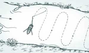 Лучшие воблеры для троллинга: как выбрать под разные условия и как ловить