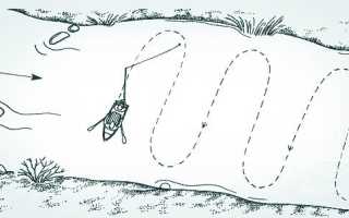 Лучшие воблеры для троллинга: как выбрать под разные условия и как ловить