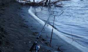 Как выбрать закормочную кормушку для фидера или сделать своими руками