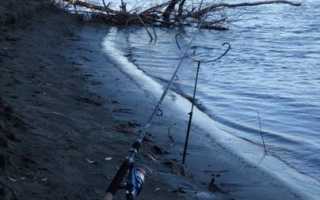 Как выбрать закормочную кормушку для фидера или сделать своими руками