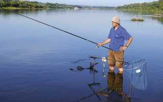 Болонская снасть, как она есть: выбор удочки и катушки, процесс лова