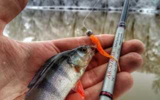 Лучшие шнуры для микроджига: параметры выбора, рейтинг плетенок