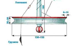 Ловля щуки на кружки осенью — как оснастить, техника ловли