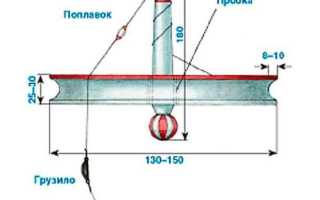 Ловля щуки на кружки осенью — как оснастить, техника ловли