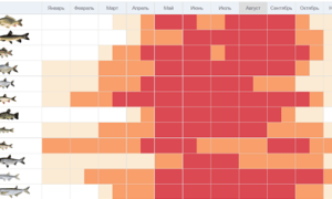 Рыбалка на Дону — лучшие места, календарь, отчеты о рыбалке 2025 года