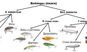Виды спиннинговых приманок: топ-110 искусственных приманок под все условия