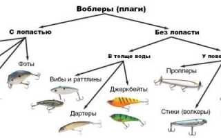 Виды спиннинговых приманок: топ-110 искусственных приманок под все условия