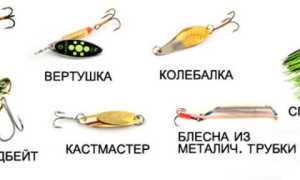Лучшие блесны на щуку: ТОП-50 лучших вертушек, колебалок, цикад, пилькеров
