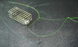 Ловля на фидер осенью в сентябре, октябре и ноябре