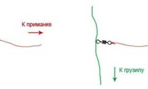Когда имеет смысл ловля на воблер с отводным поводком: троллинг и кастинг