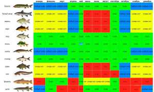 На что ловить карпа — лучшие насадки и наживки в зависимости от сезона и снасти