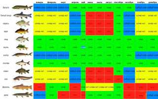На что ловить карпа — лучшие насадки и наживки в зависимости от сезона и снасти