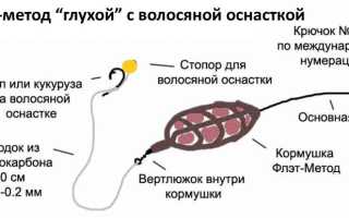 Ловля на метод — выбор кормушки, монтаж фидерной методной снасти