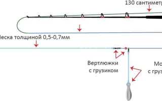 Как сделать донку закидушку для ловли сазана — простая и более уловистая сложная