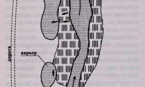 Азы карпфишинга для начинающих от профессионала — как поймать карпа?