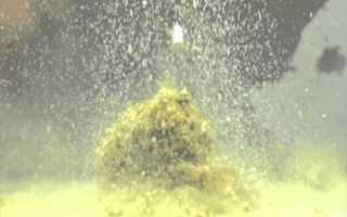 Лучшая прикормка для плотвы: самодельные рецепты и покупные смеси