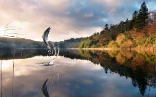 Рыбалка в Астрахани и Астраханской области осенью 2025 дикарем и на базах отдыха