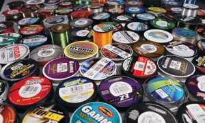 Какую леску выбрать для ловли карпа, рейтинг лучших на 2025 год