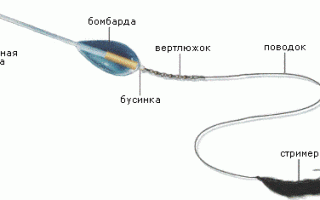 Рыболовная снасть бомбарда: монтаж оснастки, ловля на сбирулино