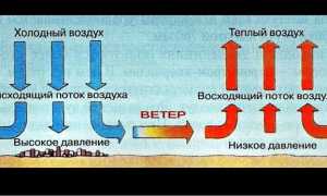 При каком ветре лучше клюет рыба — влияние направления, силы, порывов и резкой смены