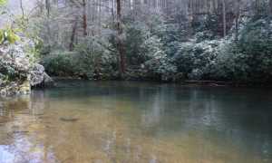 Как ловить форель осенью, на что и где