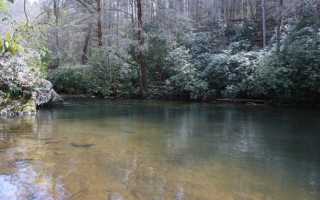 Как ловить форель осенью, на что и где