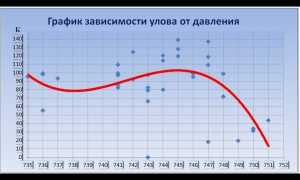 Поплавочная ловля осенью в сентябре, октябре и ноябре — секреты и советы