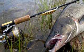 Рыбалка на Кольском полуострове — реальный фото отчет и карта рыболовных мест
