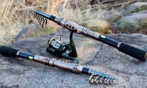 Ловля на спиннинг с берега для начинающих: как собрать, закидывать бланк и успешно ловить хищника