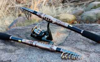 Ловля на спиннинг с берега для начинающих: как собрать, закидывать бланк и успешно ловить хищника