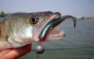 Ловля на джиг осенью с берега и с лодки: тактика и приманки