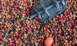 Что такое насадочный и прикормочный пеллетс, как его применять