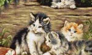 Принципиальная Схема Котэ