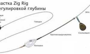 Как связать оснастку Зиг-Риг и как использовать на водоеме при ловле карпа