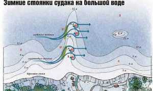 Лучшие воблеры для ловли судака на мелководье и глубоководные