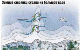 Лучшие воблеры для ловли судака на мелководье и глубоководные